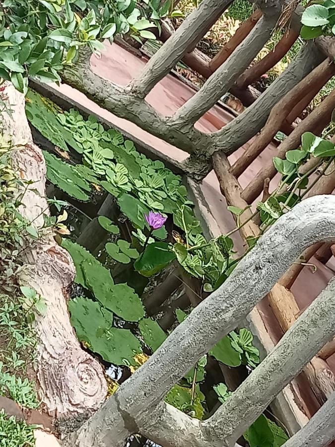 Sigiriya Nature View Home Stay Екстер'єр фото