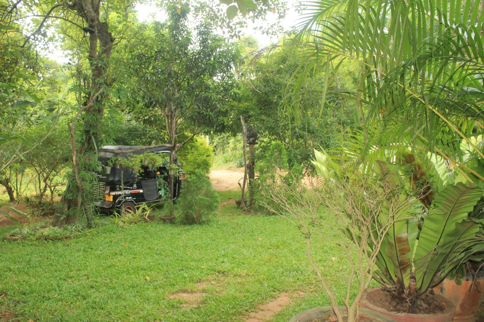 Sigiriya Nature View Home Stay Екстер'єр фото